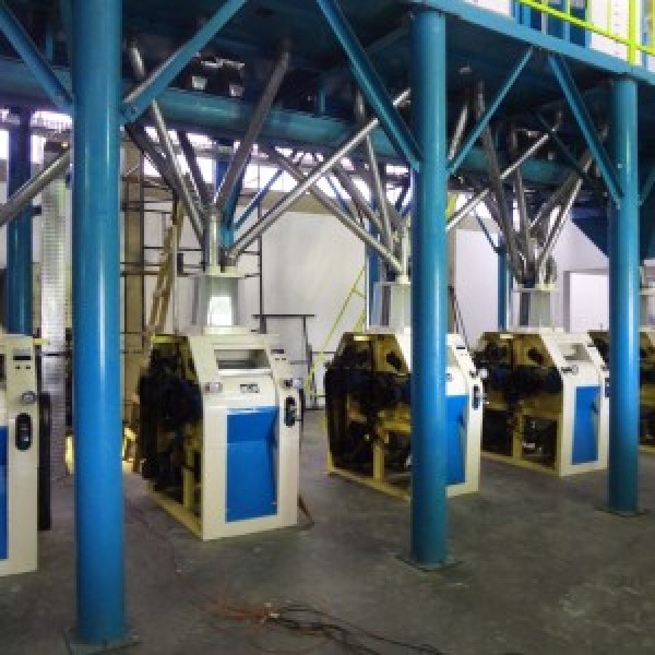 Machine de fabrication de farine de blé 6FTF-70